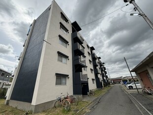 北条町駅 徒歩12分 1階の物件内観写真